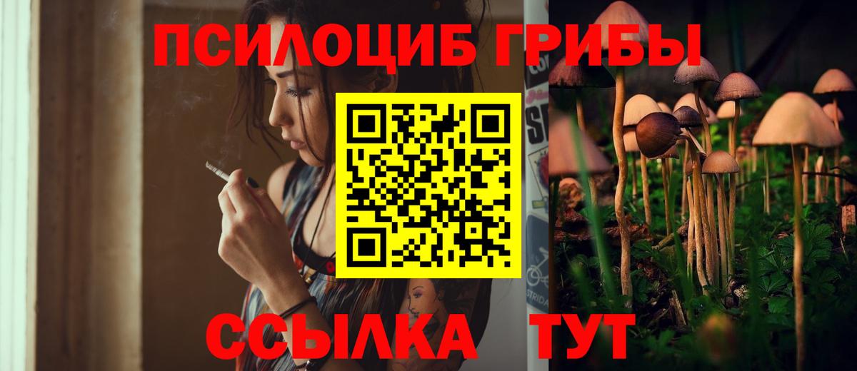 Псилоцибиновые грибы прущие грибы Барабинск